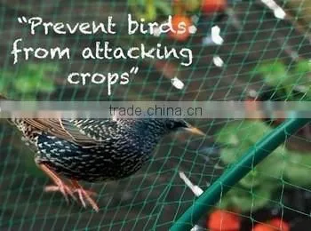 HDPE/POLY anti-bird net for protecting fruit tree and plant