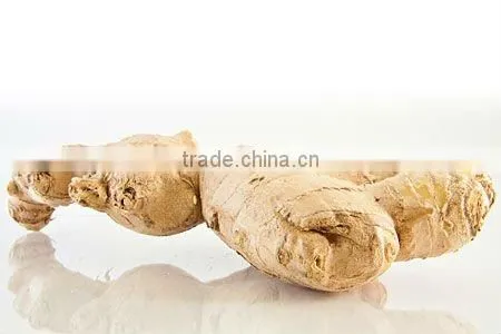 Ginger Oleoresin