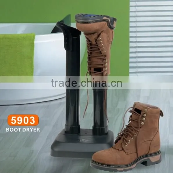 removable dryer for shoe and boot