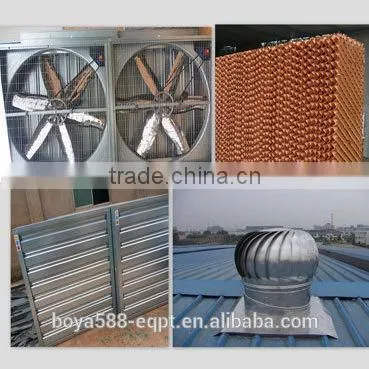 Quail Farm automatic drinker and feeder Equipment For Sale