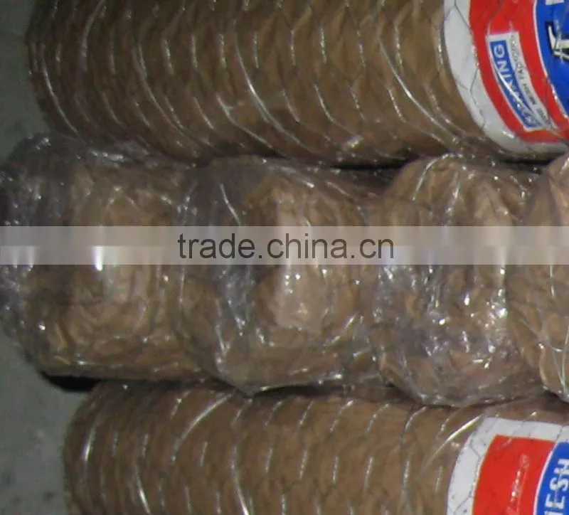 Electro Galvanized Hexagonal Wire Mesh