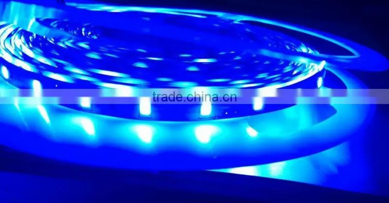 dc12v 24v brilliant flexible led strip light ribbon light