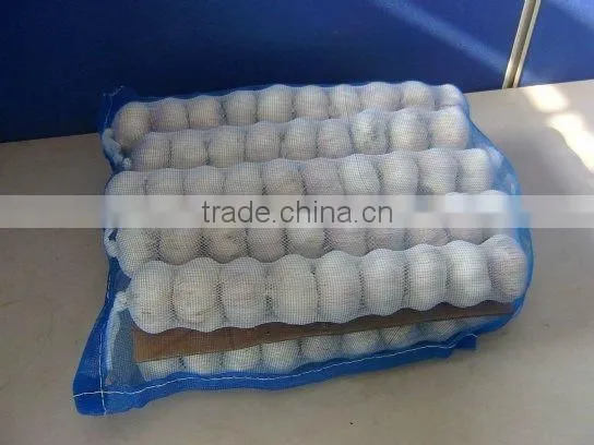 High quality Chinese garlic 2012 crop