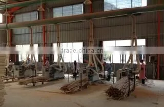 Fujian Xingyuan Industry Co., Ltd. company overview - view 2