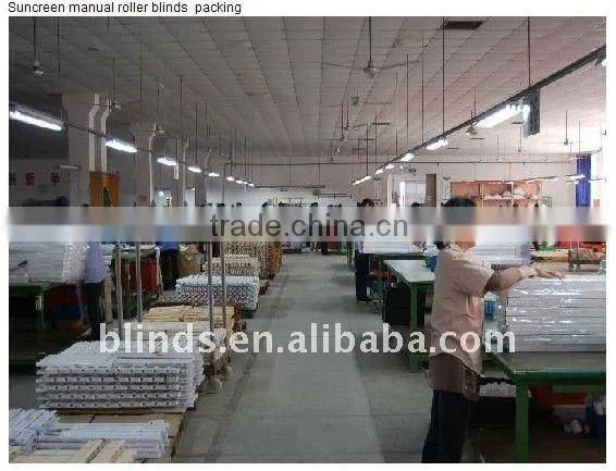 Sheer Manual Roller Blinds for Windows