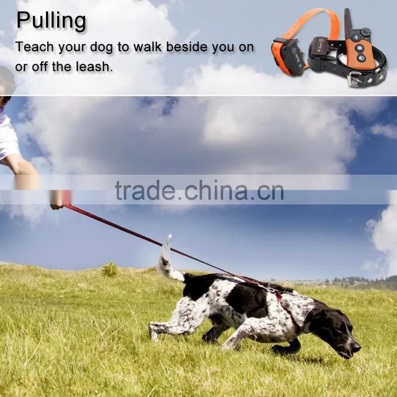 Ipets PET619-1 2016 Newest Rechargeable Zap Collar For Small Dogs