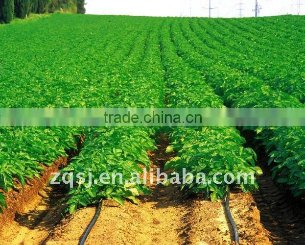 ZQSJ-65/30 Cylindrical dripper drip irrigation pipe plastic machine