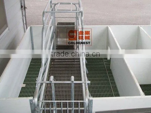 pig equipment pig feeders