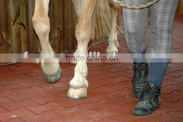 horse rubber bricks dog-bone pavers 43mm thickness