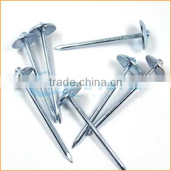Top quality flat top yellow coated ring/smooth coil roofing nails trusted Chuanghe suppliers from alibaba com