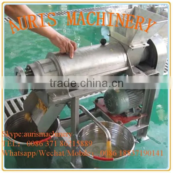 Easy operation Stainless steel apple screw juicing machine