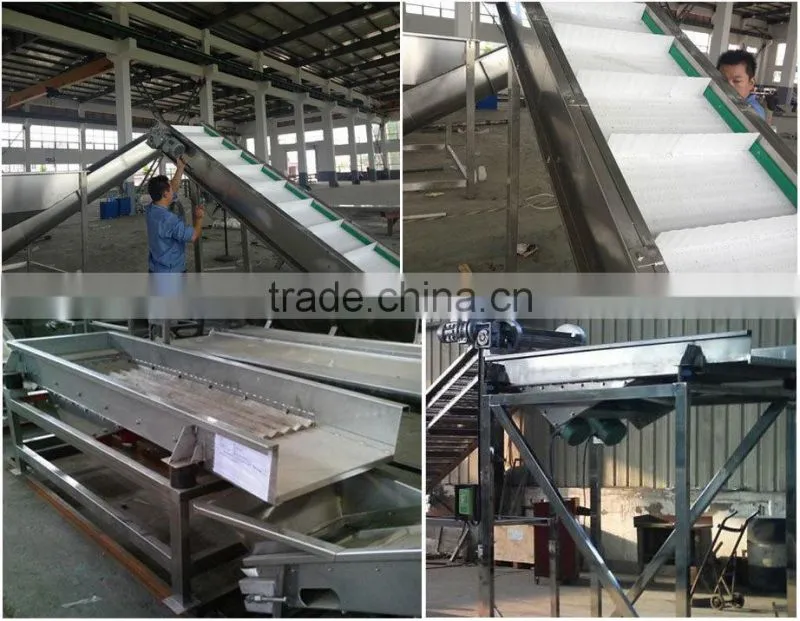 equipment from Guanfeng Food Machinery vegetables drying line