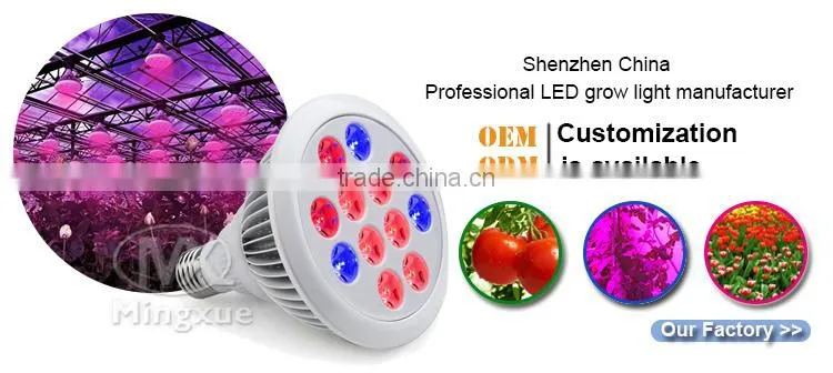 Usb Table Lamp LED Grow Light Mini LED Bulb Lights E27 LED Grow Light