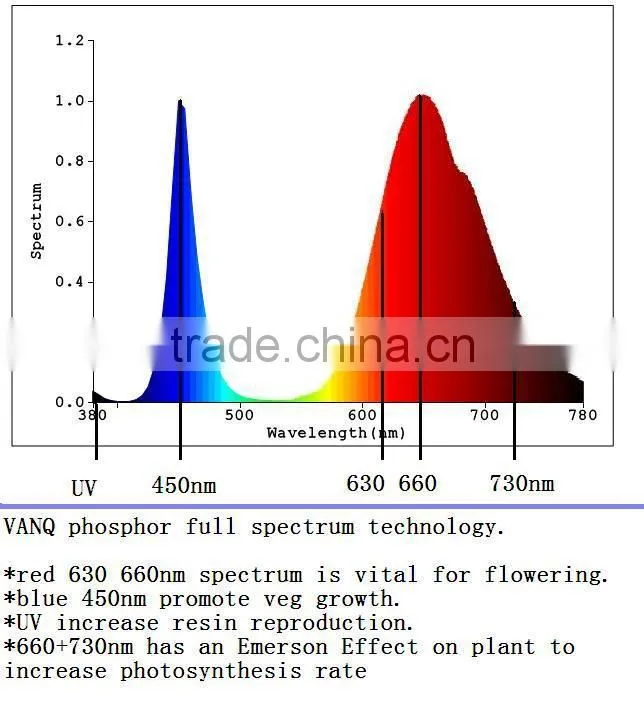 U.S.A. market 300W COB LED grow light for hydroponic growing systems Vanq classical