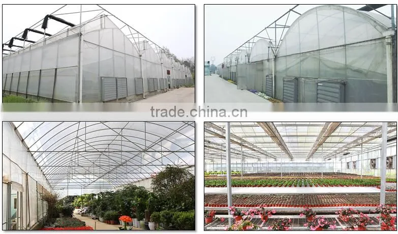 high quality auto blackout multi span greenhouse for sale