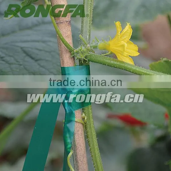 Colorful PVC Plastic Garden Tape