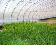 blow molding agricltural film