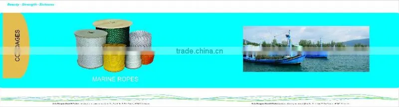 Polyester ropes for boat rigging and dock lines