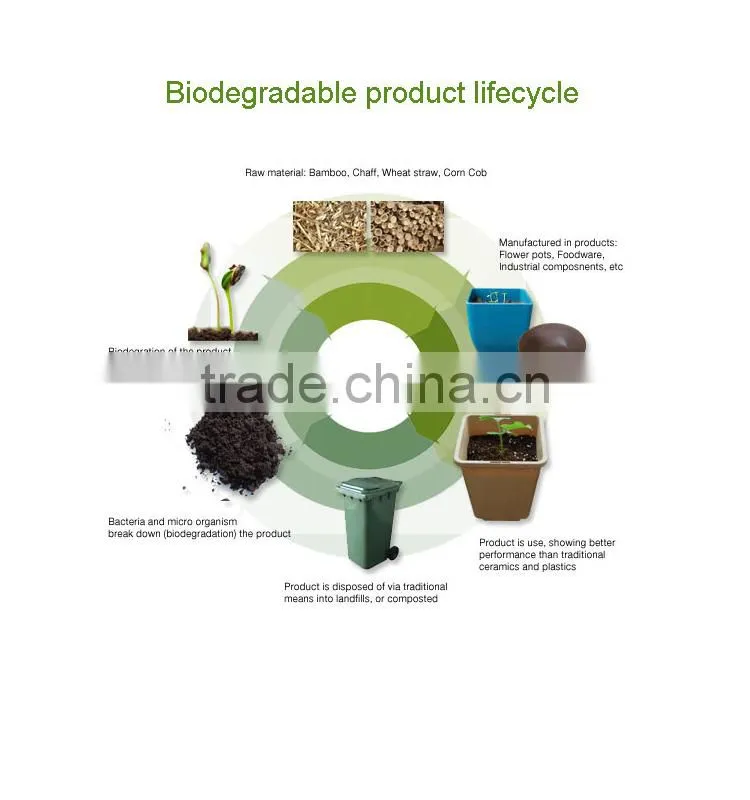 LFGB approved bamboo fibre eco friendly cups