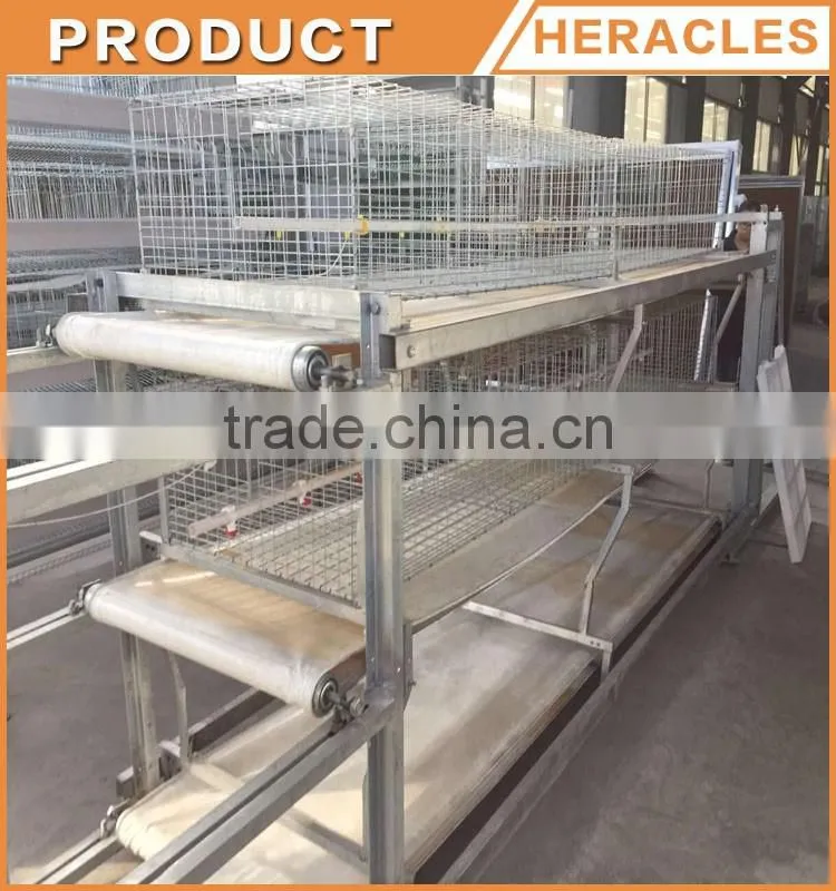 Hot selling Asia chicken cage for sale automatic chicken layer cage for sale in philippines