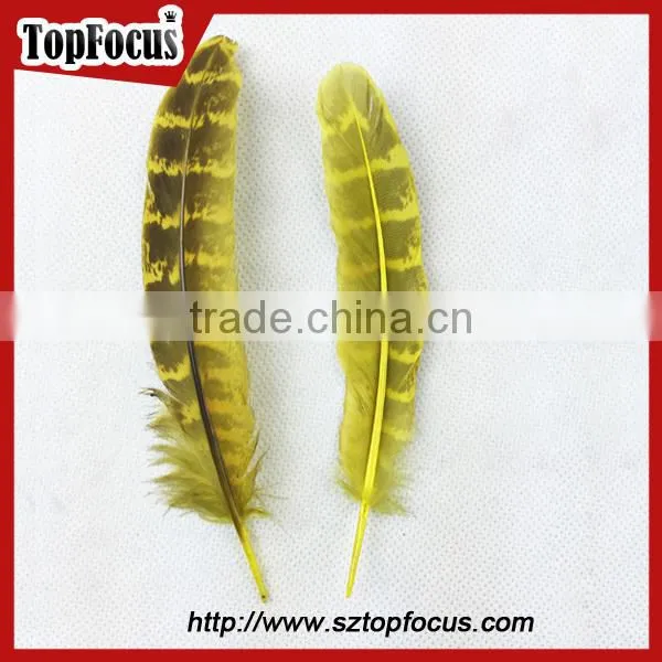 comfortable Ornate short prom dresses with fly tying pheasant feathers