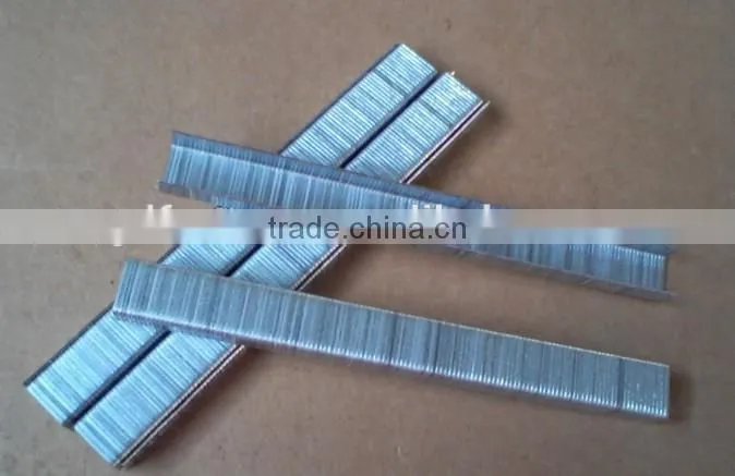Furniture stapler pin 1013F