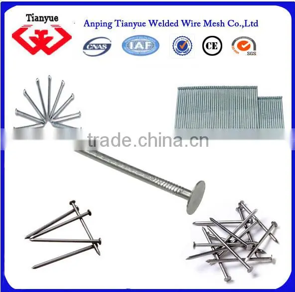 stainless steel nails manufacturer(15 years export experience)