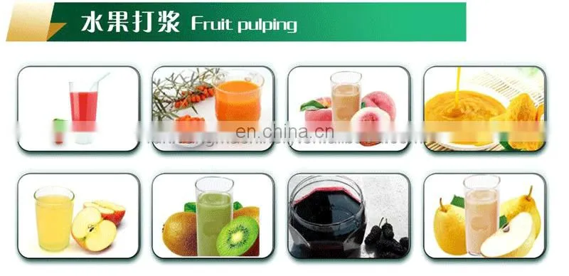 Stainless Steel Coconut Milk Screw Industrial Fruit Apple Watermelon Mango Pineapple Juice Crusher Juicer Extractor Machine
