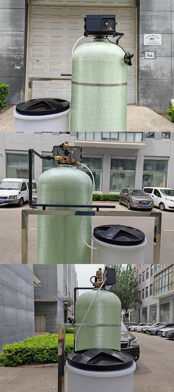 DT 组图