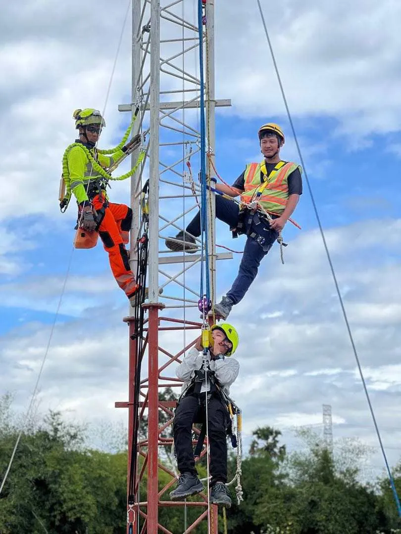 Lifeline on towers