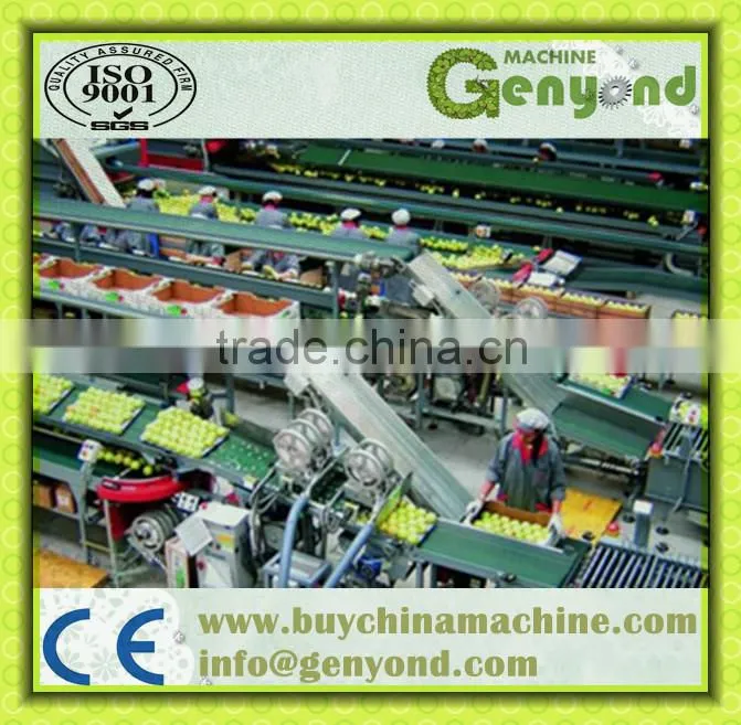 orange opto-electronic grading line