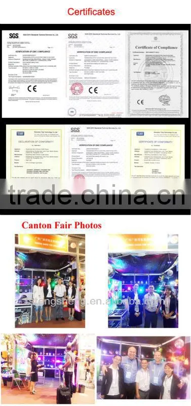 Best sale style -Pink Penoy with LED Color changing fiber optic flowers/Holiday flowers with CE