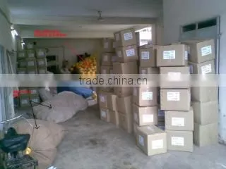 Hero Sports Co. company overview - view 2
