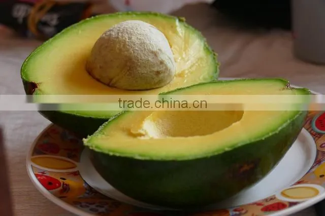 Avocado Oil