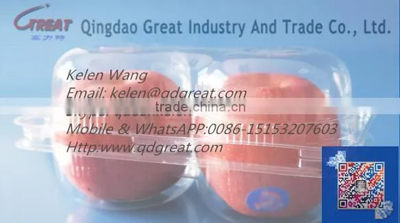 PET Disposable Blister Blueberry Clamshell Container