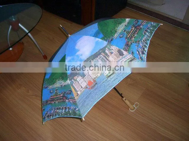 logo custom full body print umbrella wholesale
