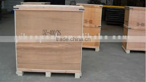 DZ400/2C Double Chamber Vacuum Packing Machine
