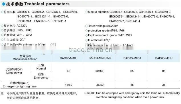 BAD83 explosion proof induction lamp