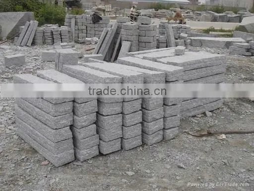 Paving Stone