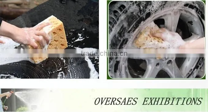 auto cleaning pva compressed sponge