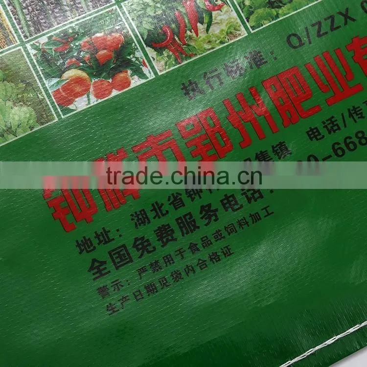 Professional Plastic type vegetable custom packaging bag with CE certificate