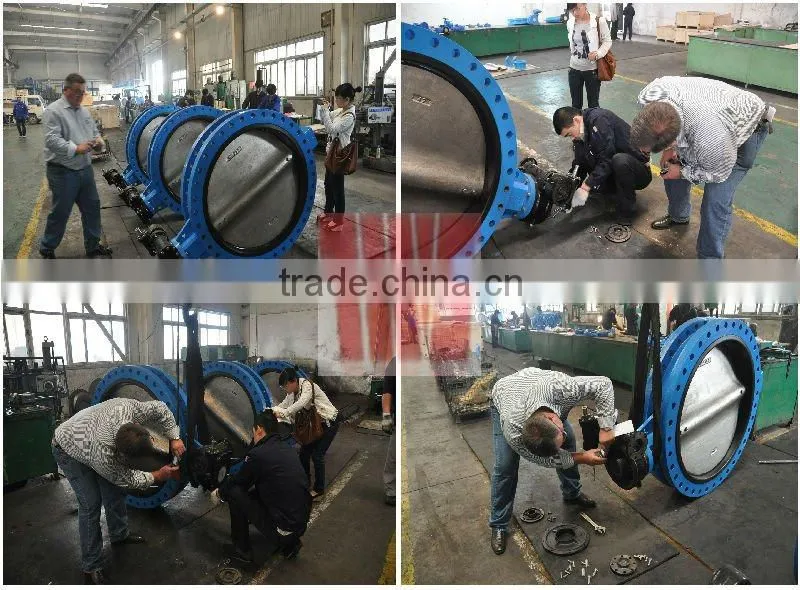 800 Series Cast iron dual plate wafer check valve