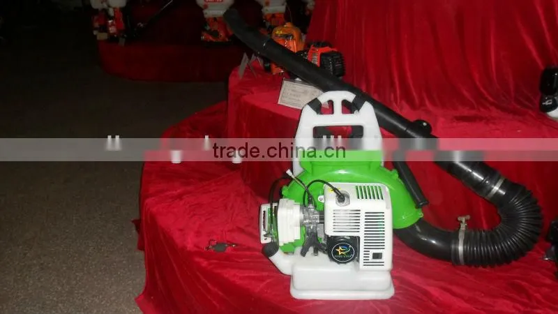 gasoline power blowers