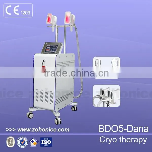 BD05 Top quality most popular & professional cryo therapy fat freeze beauty equipment