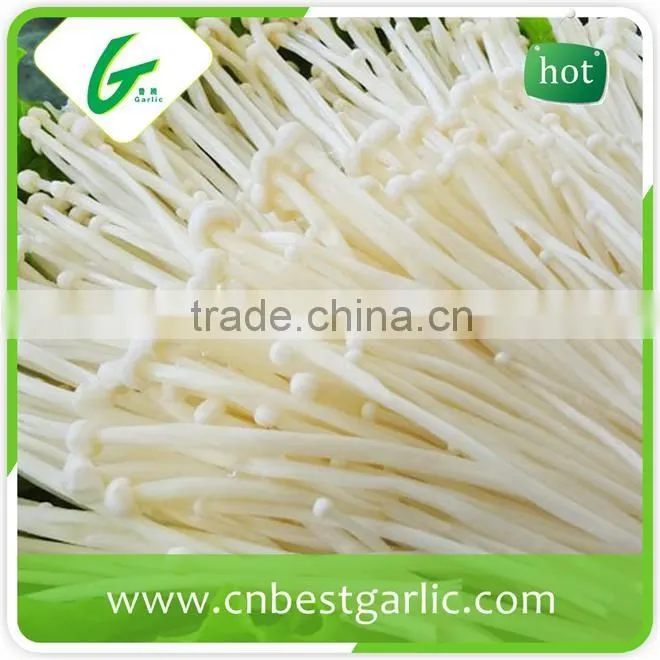 Common canned instant enoki mushroom extract