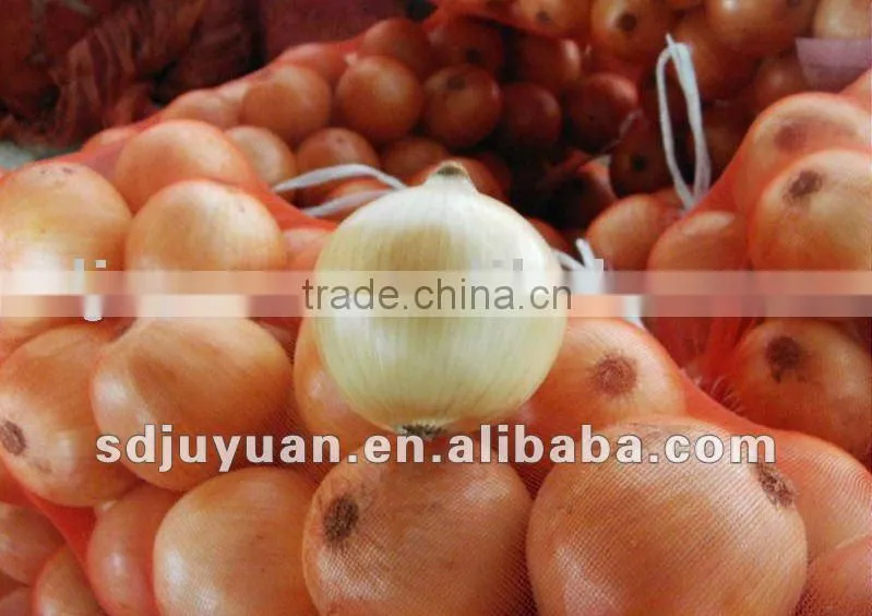 Juyuan Fresh Yellow Onion