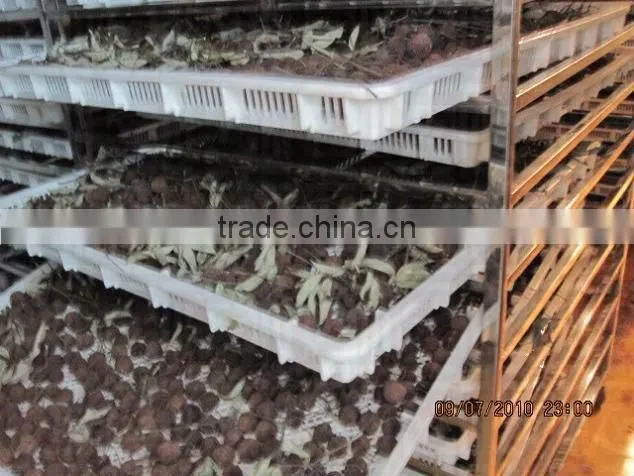 DY-BYD1 herb dryer