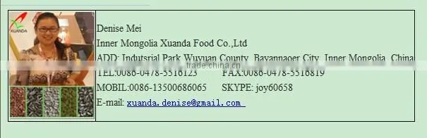 High quality china shine skin pumpkin seed in shell