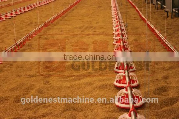 poultry farm feeding equipment