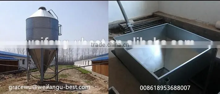 hot sale broiler breeder chicken poultry breeding houses